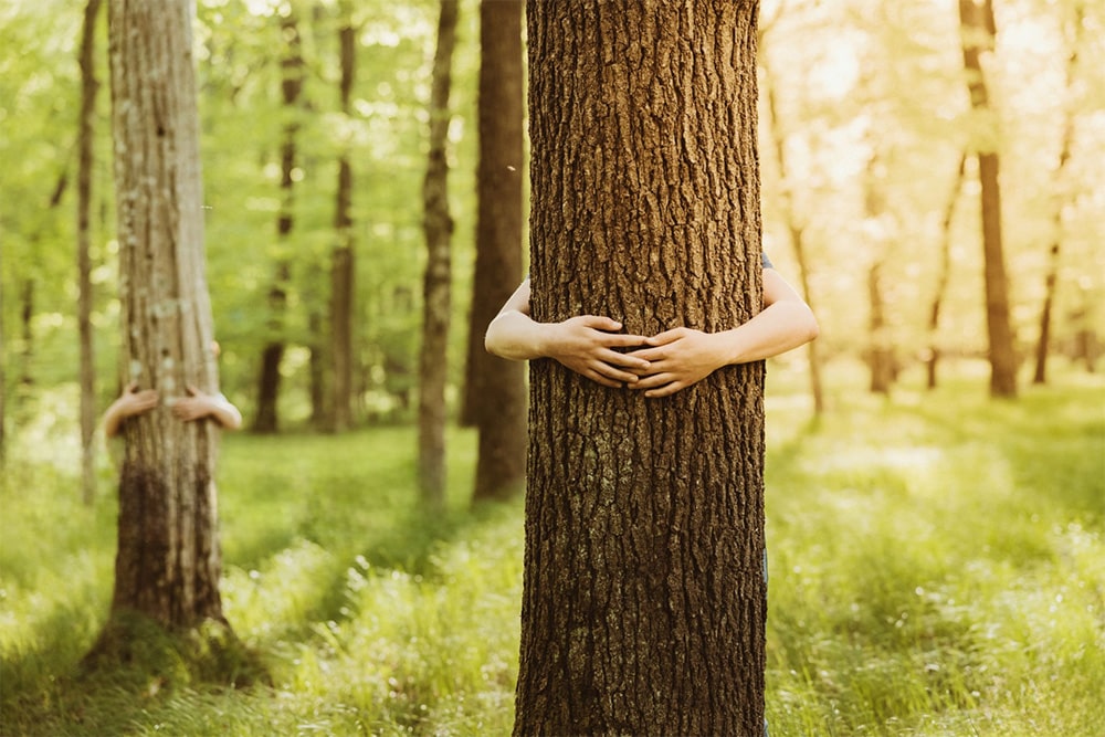 Bootcamp RSE by PIGIER